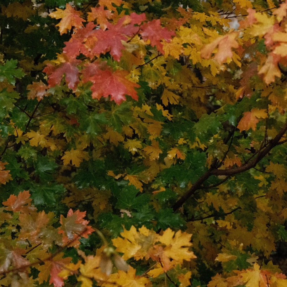 Meet your Posher, Molly